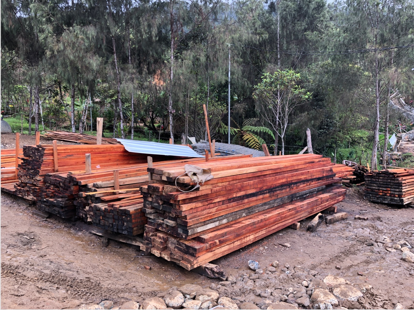 Just some of the quality timber a village in the highlands of PNG have cut using their automated mill.